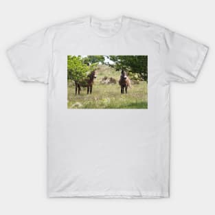 Exmoor Ponies T-Shirt